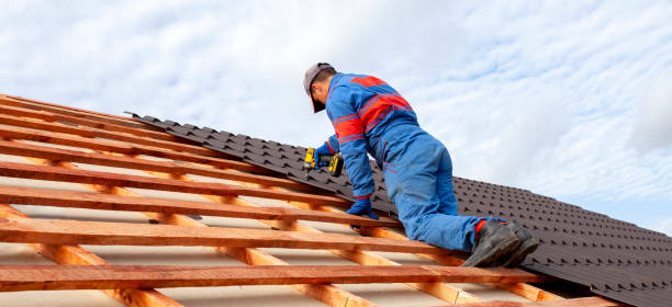 Best Cold Roofs  in Hampton, SC